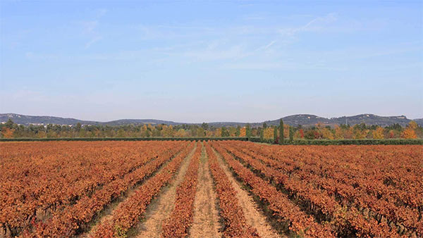 Une saison longue et magnifique